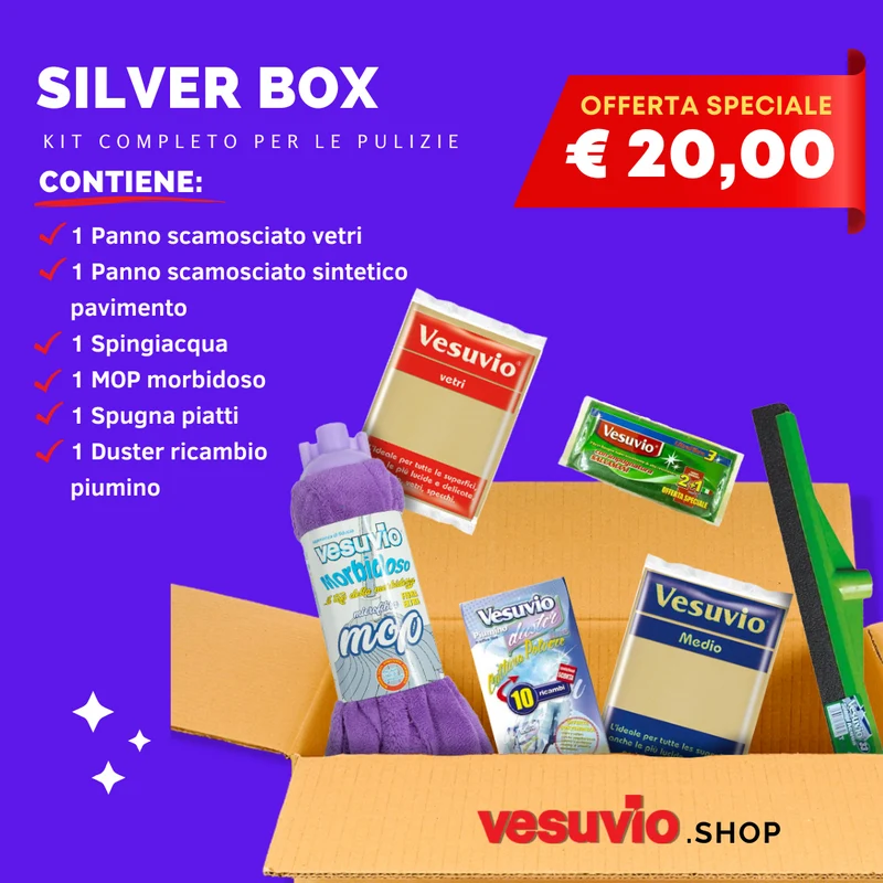SILVER BOX kit completo per pulizie