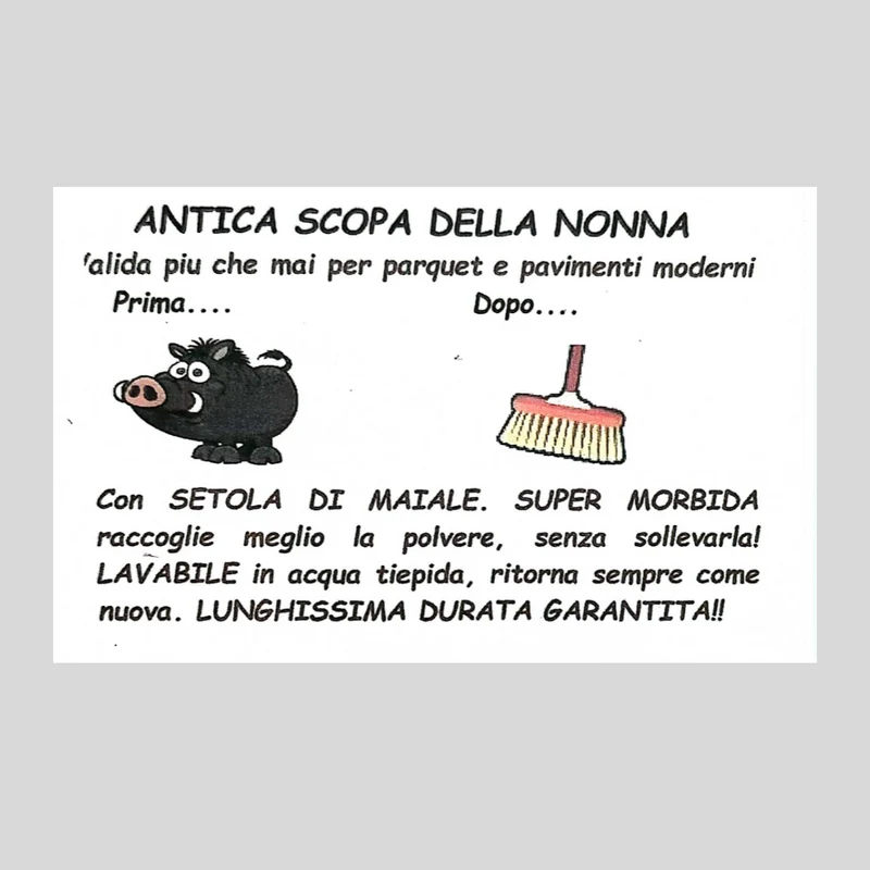 Scopa setola pura