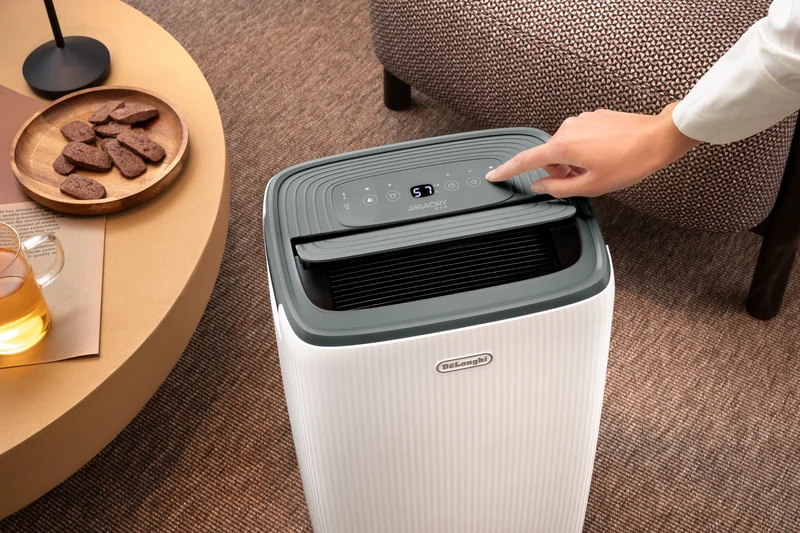DeLonghi Tasciugo AriaDry Evo16L Dehumidifier