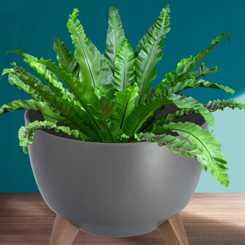 Vaso da fiori KADAX, fioriera, coperchio, gambe, inserto, supporto per fiori, 29 cm, antracite, ciotola, 2 pezzi.