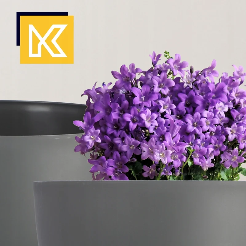 Vaso da fiori KADAX, fioriera, coperchio, gambe, inserto, supporto per fiori, 29 cm, antracite, ciotola, 2 pezzi.