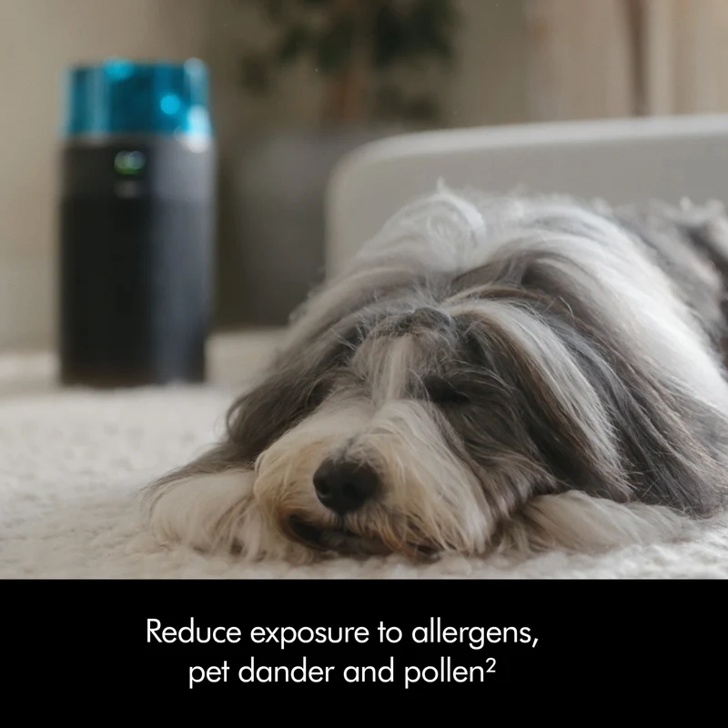 Dyson HJ10 HushJet Purifier Compact Black/Teal
