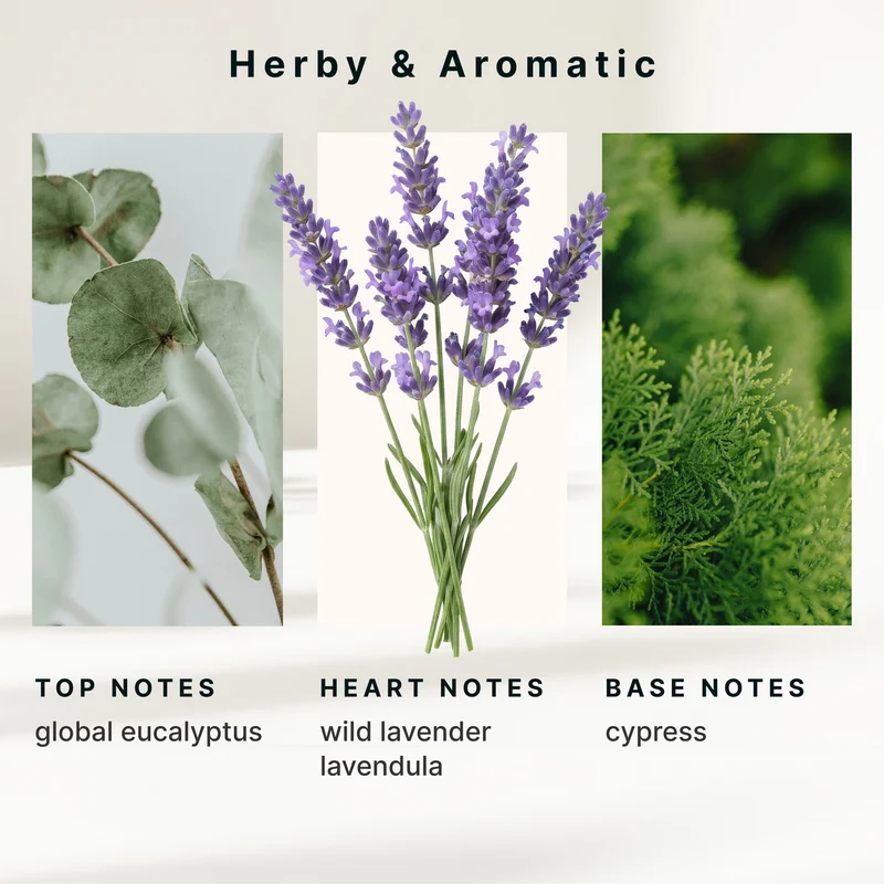 Homedics SereneScent 120ml Oil -Lavender & Eucalyptus