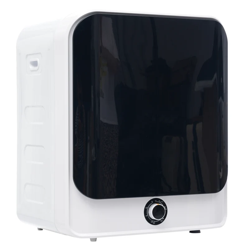Asciugatrice a Evacuazione 3 kg 830 W con PTC Ceramico; 5 Programmi; Cestello Inox e Montaggio a Parete