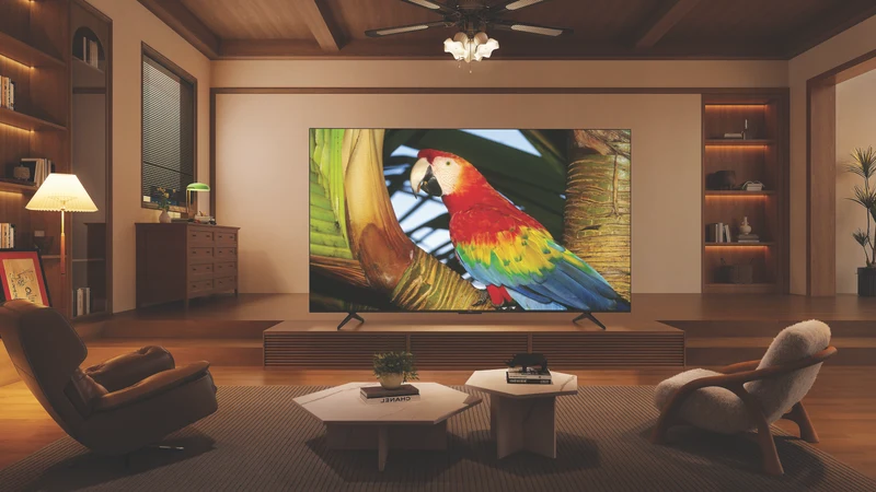 TCL 55" C655 QLED Google TV 24
