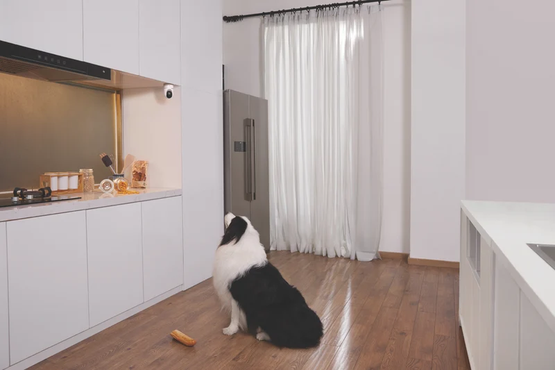 eufy 4-in-1 Home Security Essentials Kit