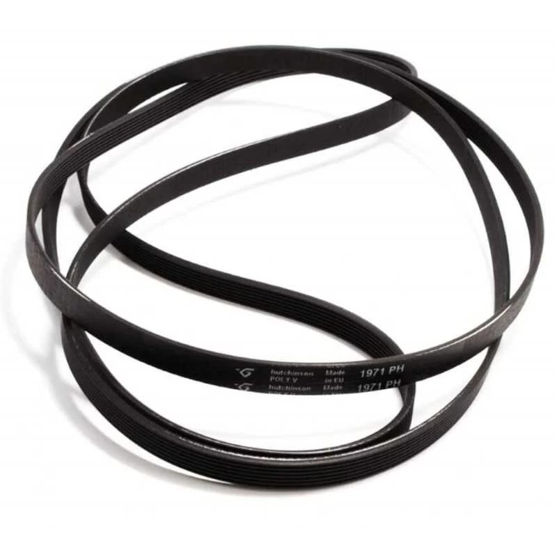 CINGHIA ELASTICA ASCIUGATRICE ELECTROLUX REX AEG 1971 7PH H7 ORIGINALE - Electrolux Rex Aeg Zoppas