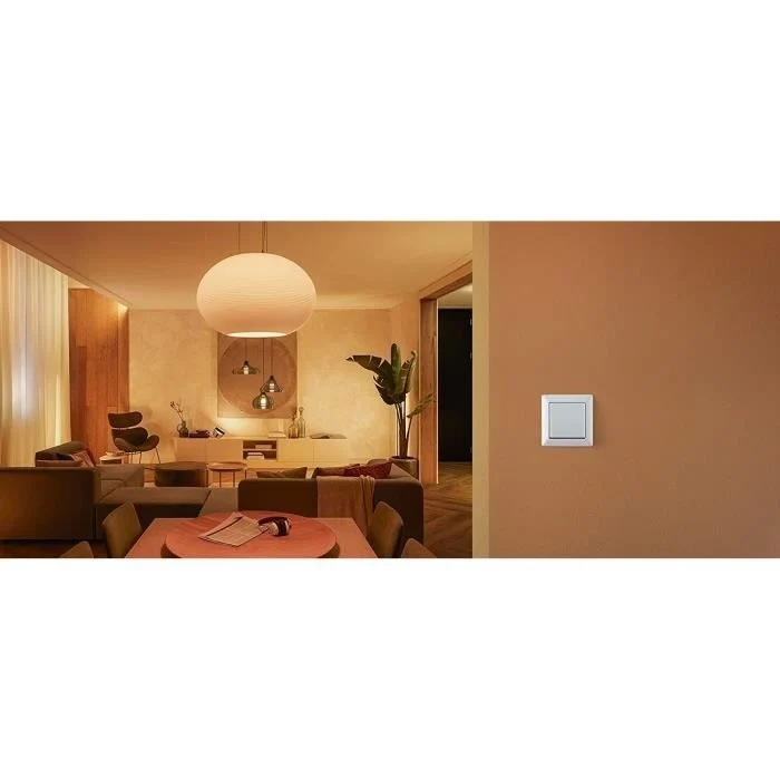 Philips Hue Wall Switch Module, White, lavora con Alexa, Google Assistant e Apple Homekit